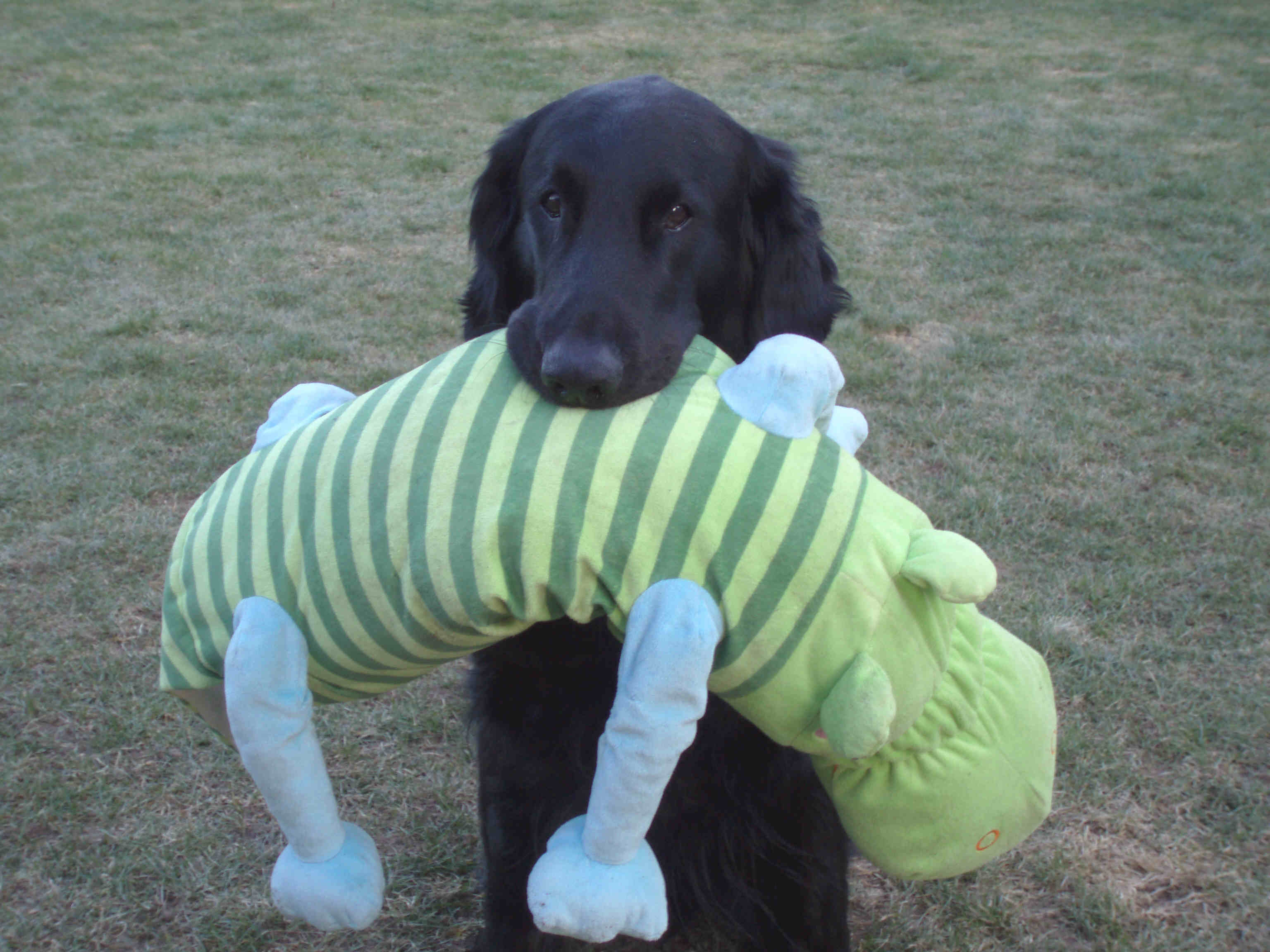 Candy 11 Jahre