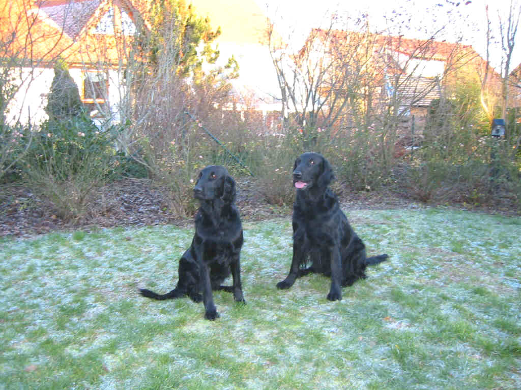 Alisha und Candy