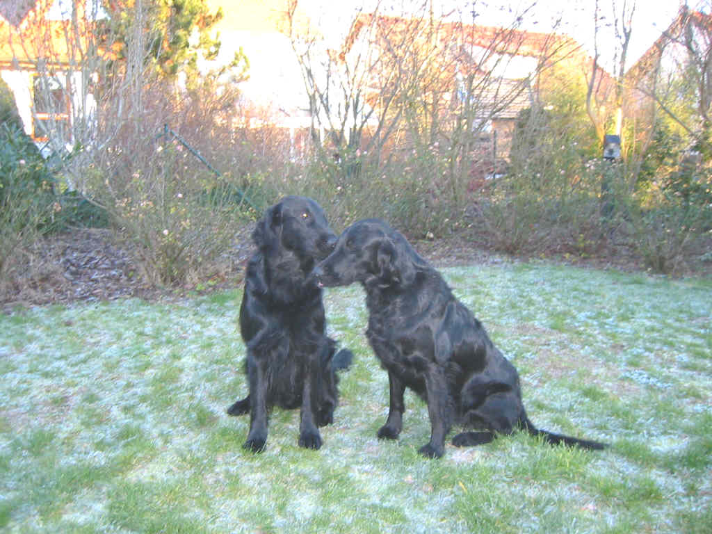 Alisha und Candy
