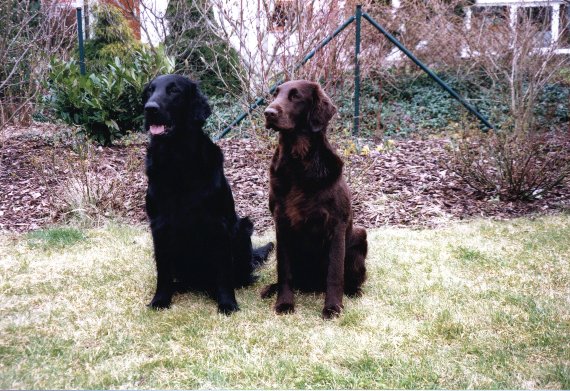 Candy und Brownie