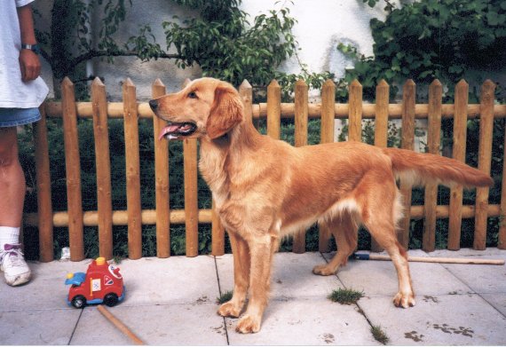 Indi