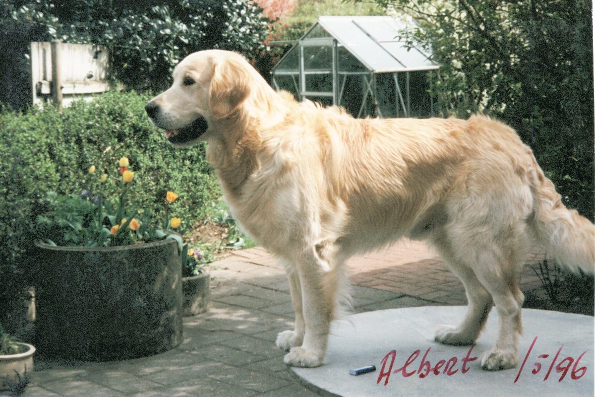 Rayleas Albert