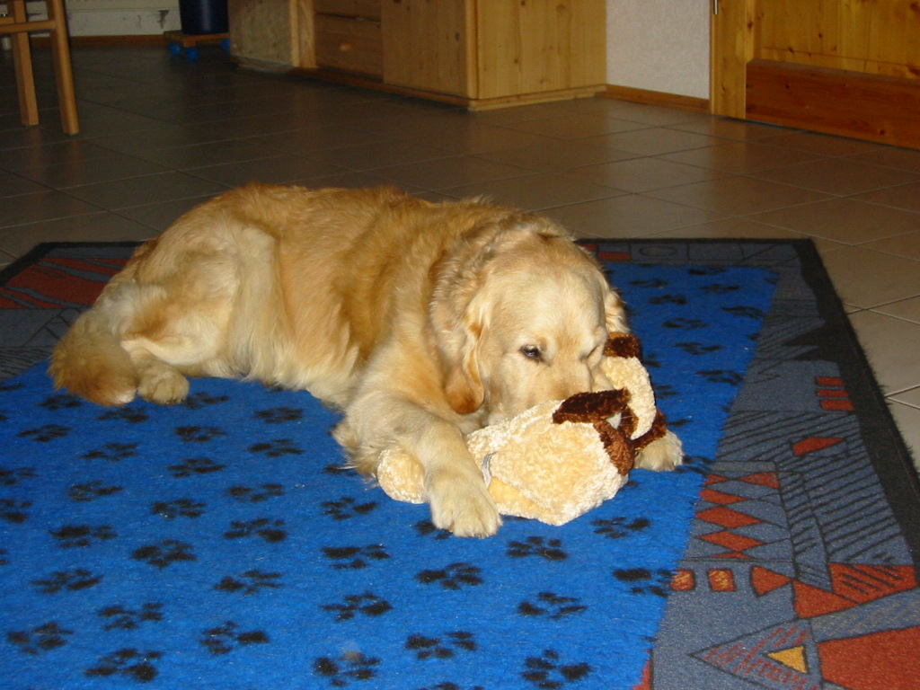 Umba 4 Jahre
