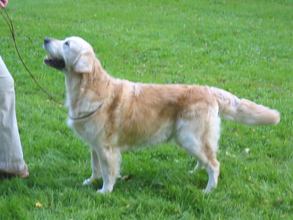 Umba Veteranenklasse